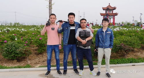 影視宣傳，我們是認真的——西安網站建設助力影視行業騰飛